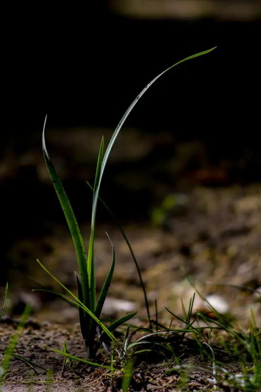 觉醒后，
如果你仍生活在底层，
你需要的是生存，
而不是道德层面的修养！

你需
