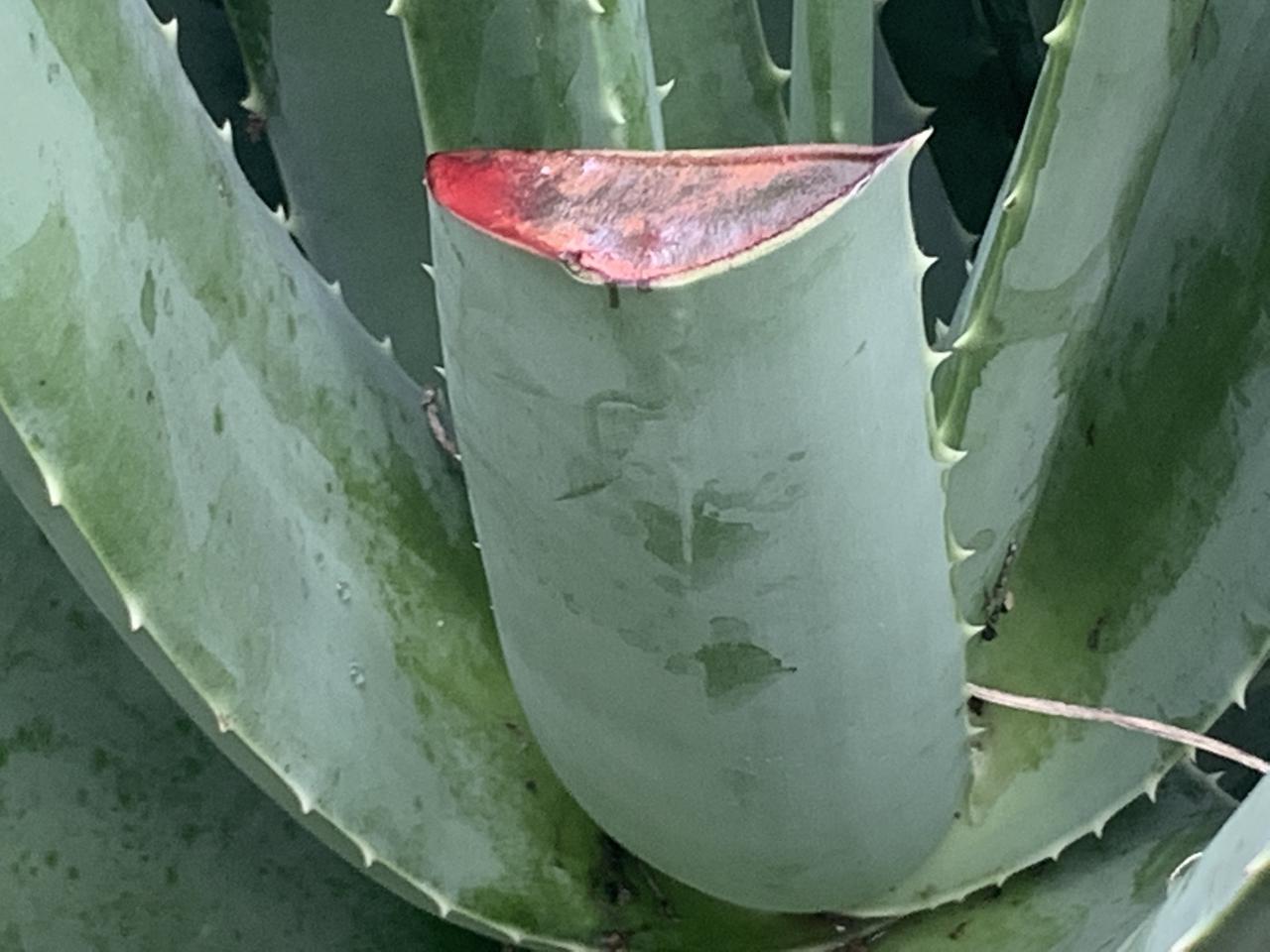 丁克夫妻步入老年，已经有人开始惦记他们的遗产了！
这个问题我觉得值得关注，那些年