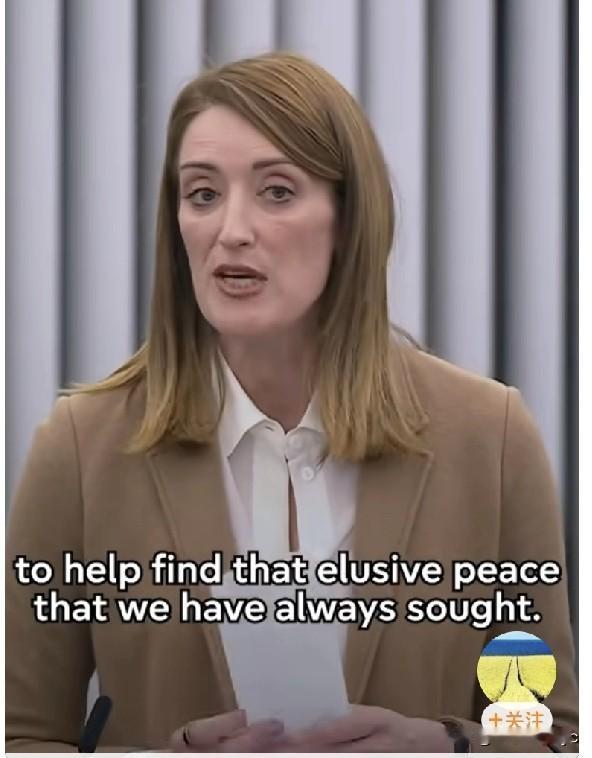 欧洲议会议长：我们将继续秉持"没有乌克兰参与，就不能决定乌克兰事务"的原则推动俄