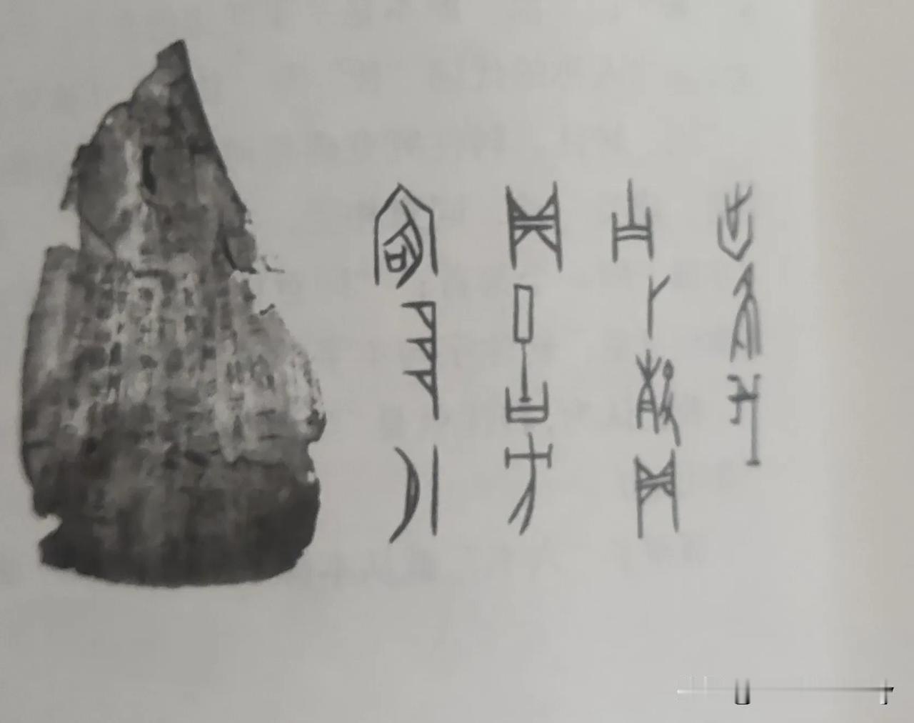 不管你是否为书法爱好者，若能认出这些远古时期的文字，就表明你对中国文字有过研究。