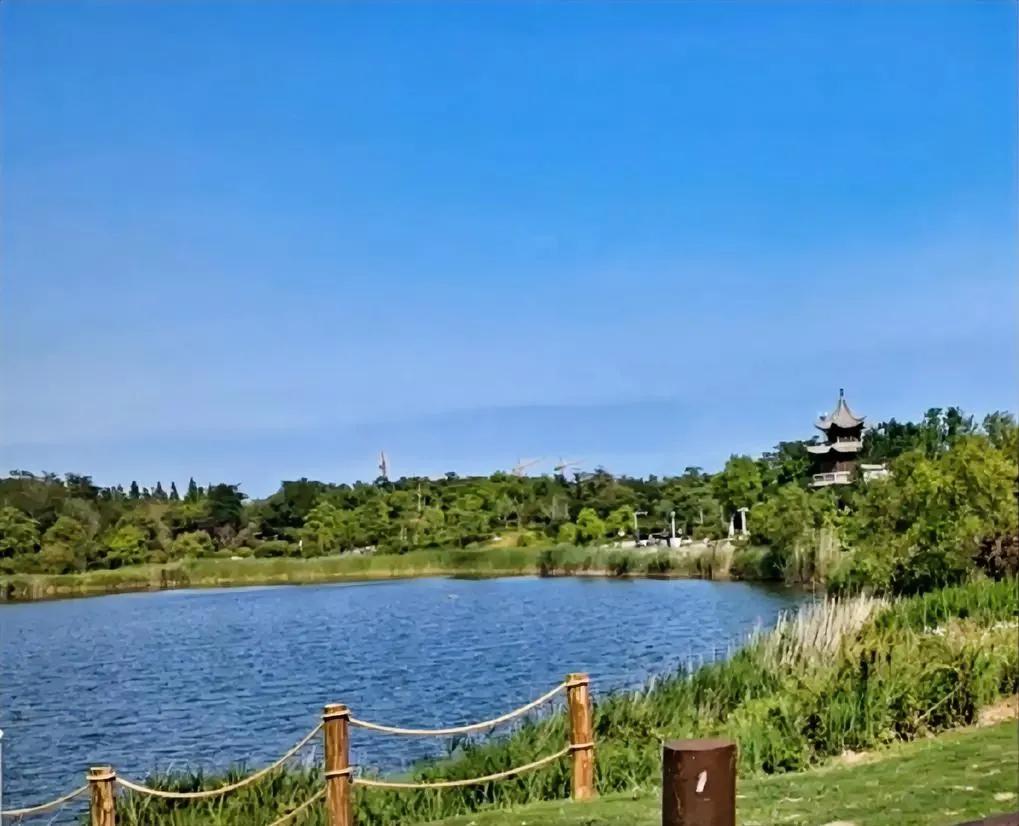 发现青岛的天空和别的地方不一样！


难道是海风吹散了天上的云彩？天空一片湛蓝，