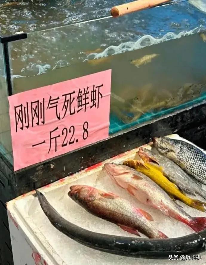 不得不说！这个超市是懂营销的，活虾30多一斤死虾20多一斤，这刚断气的鲜虾，怕不