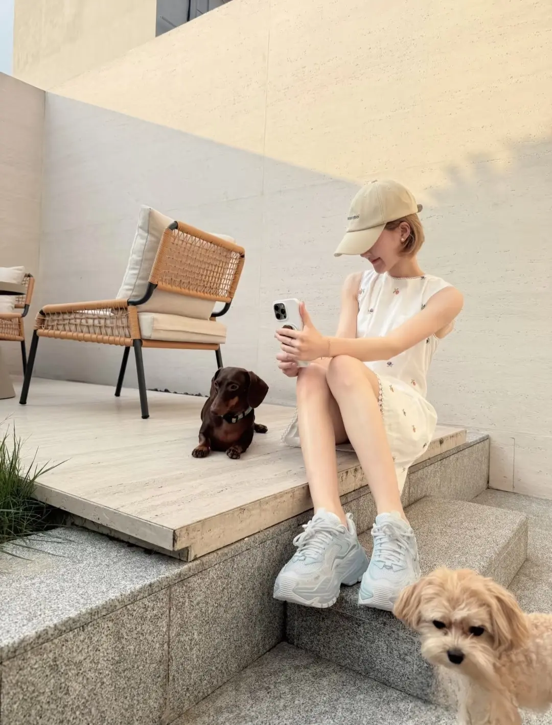 露思更新啦！有新狗狗耶