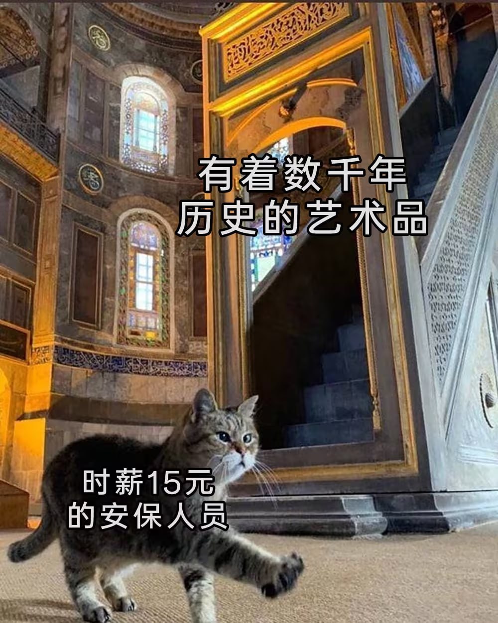 我溜达 ​​​