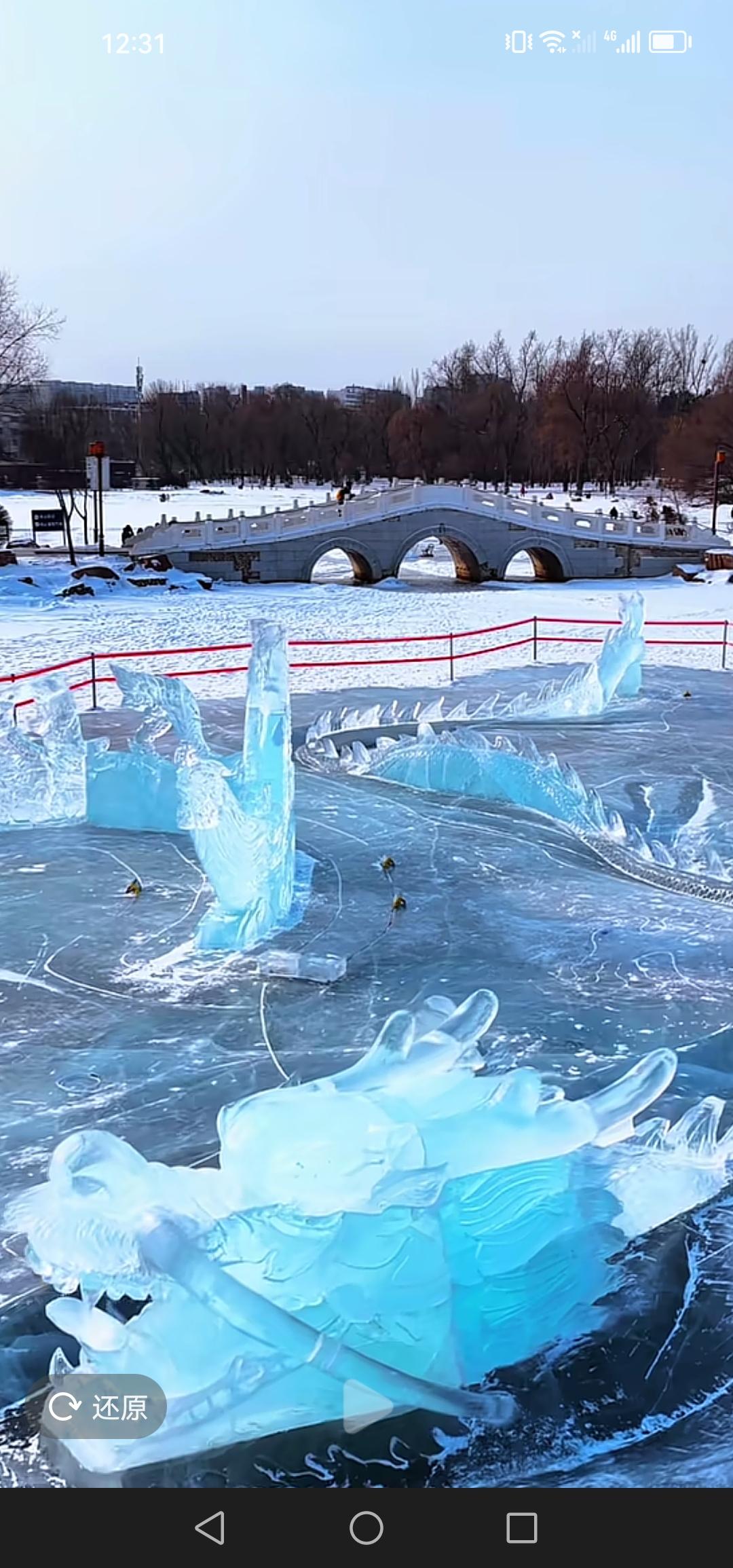 长春市南湖公园的冰雕龙凤作品已然雕刻完成。和往年相比，大家作何感受？

每临春节