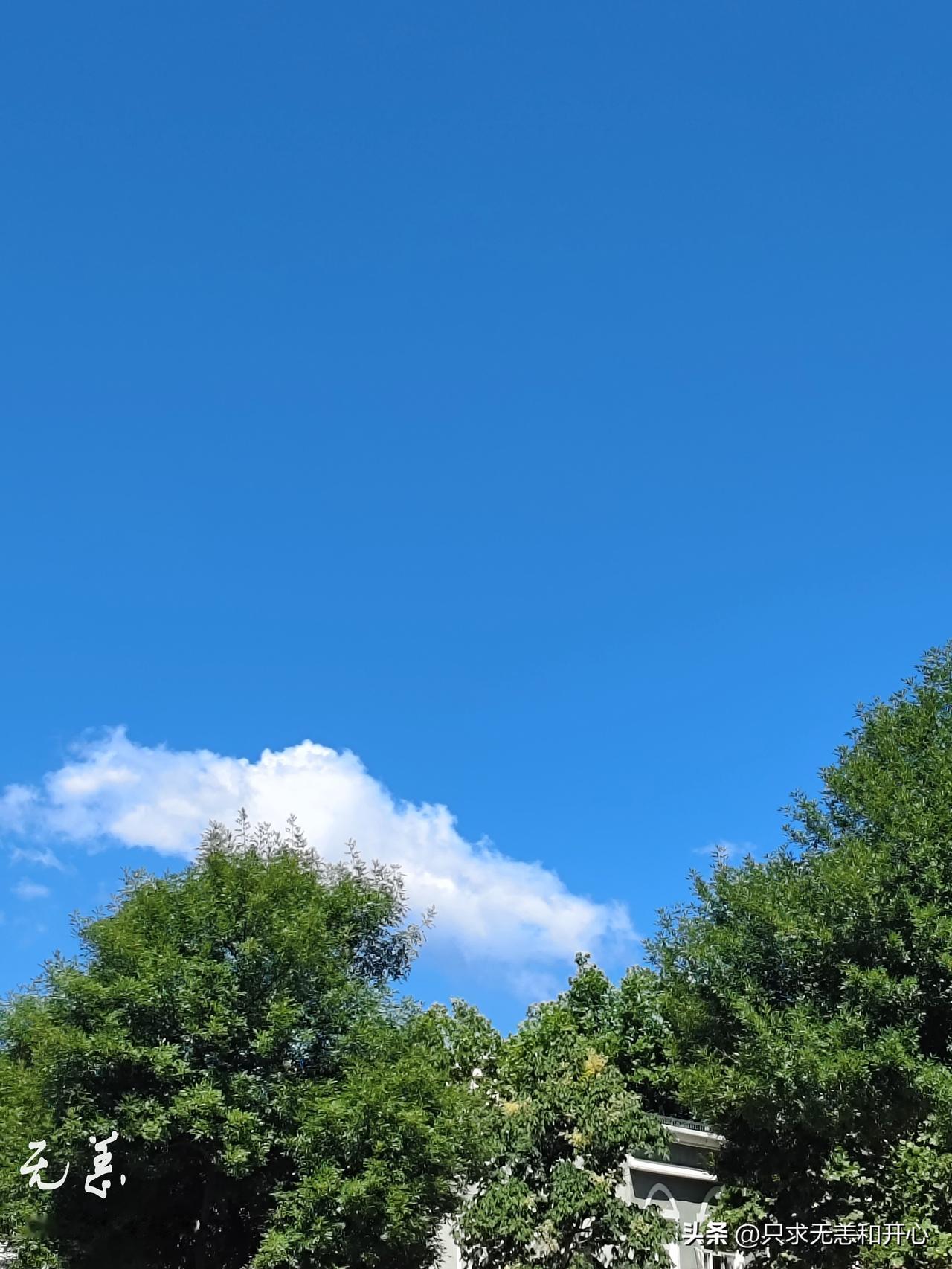 我们小时候，一个胡同一大家子住在一起，每对夫妻叫对方的方法都不一样。
我父母是互