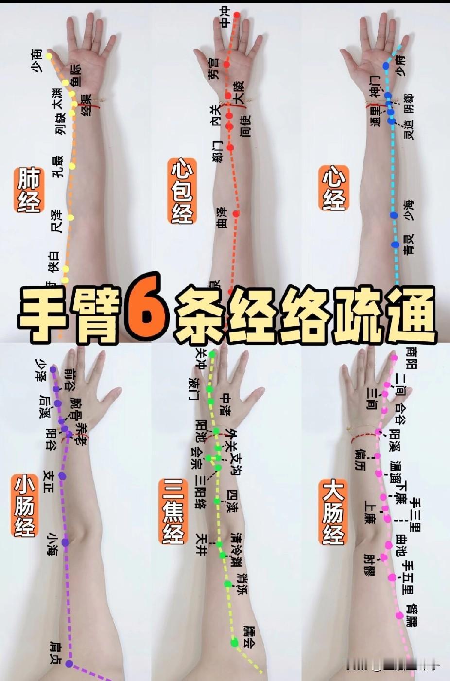 手臂6️⃣条经络疏通方法汇总✅自用收藏版‼️
⭕️经络走向速记法
· 手三阳经（