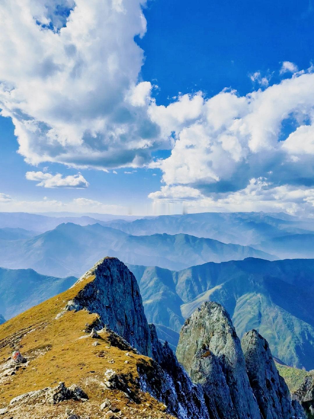 临夏太子山四季皆景栓翅卫矛，又叫鬼箭羽、水银木，是甘肃太子山国家级自然保护区代表