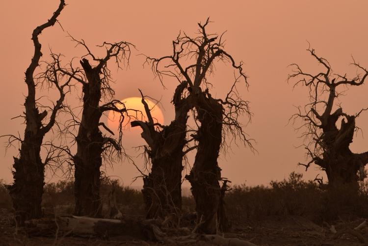 人生原本看沧桑，笑迎东西南北风。