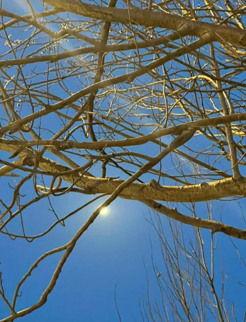 其实这部剧最大的槽点不是其他，就是所谓的消防员与医生的爱情线。没有歧视职业。仅针