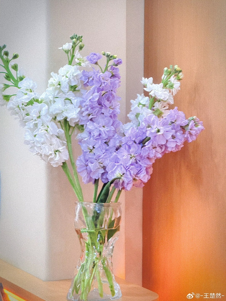 王楚然王楚然晒剧组老师送的花王楚然好抽象的镜子 王楚然晒剧组老师的花啦~ 