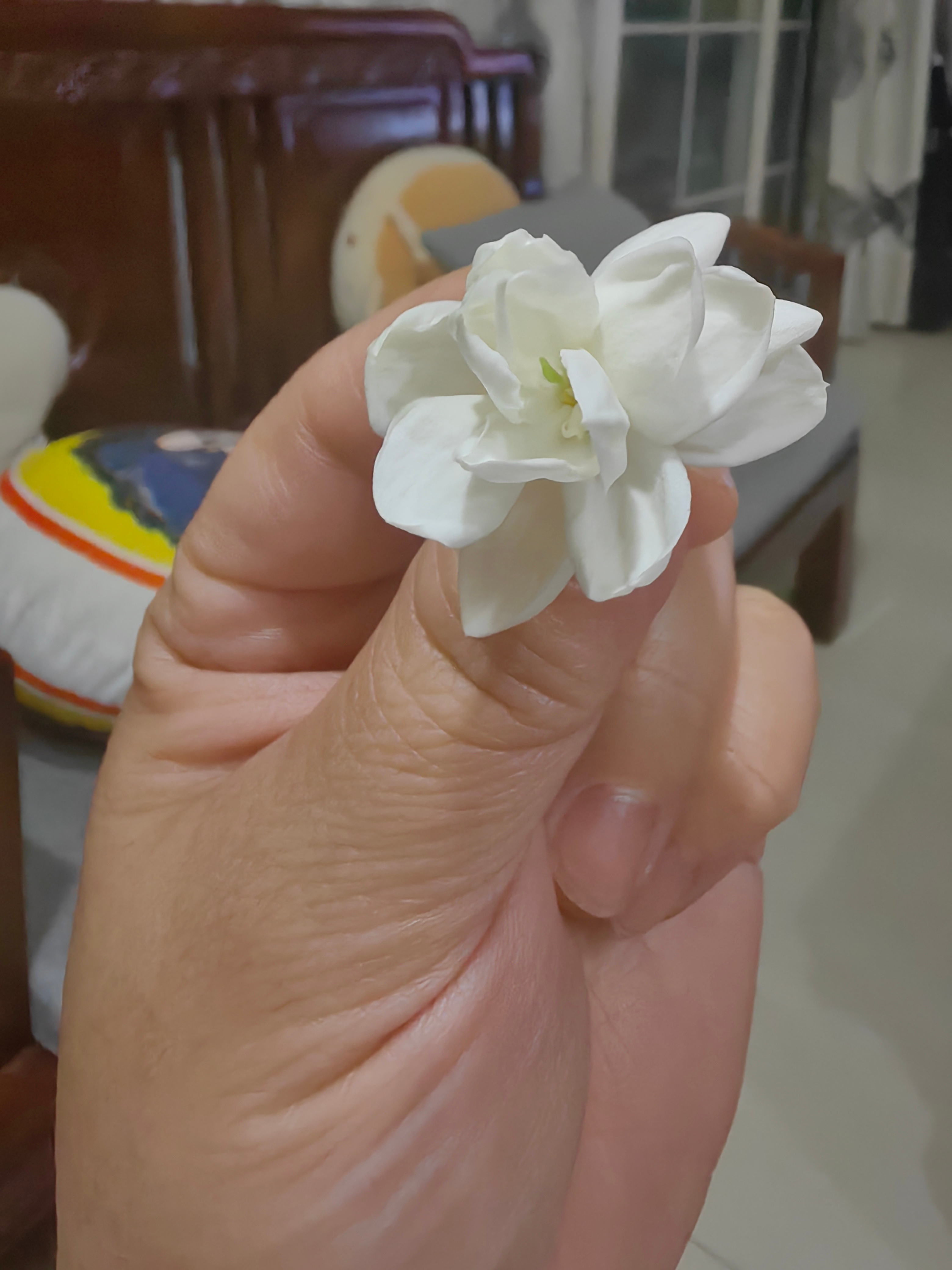茉莉花真香 