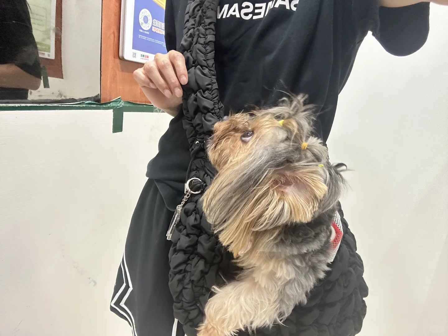/教育有毛病吧？