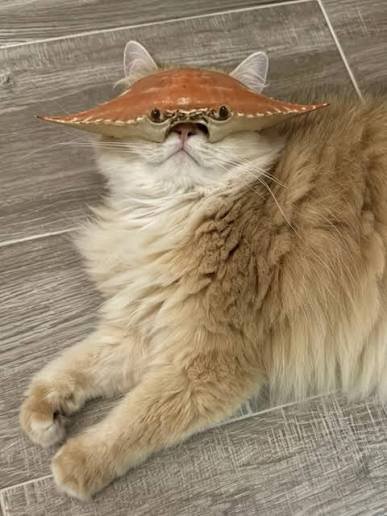 年齡愈大，每想到要开始做什么，还没做第一感觉已经是好麻烦啊搬新家？？好麻烦啊！换