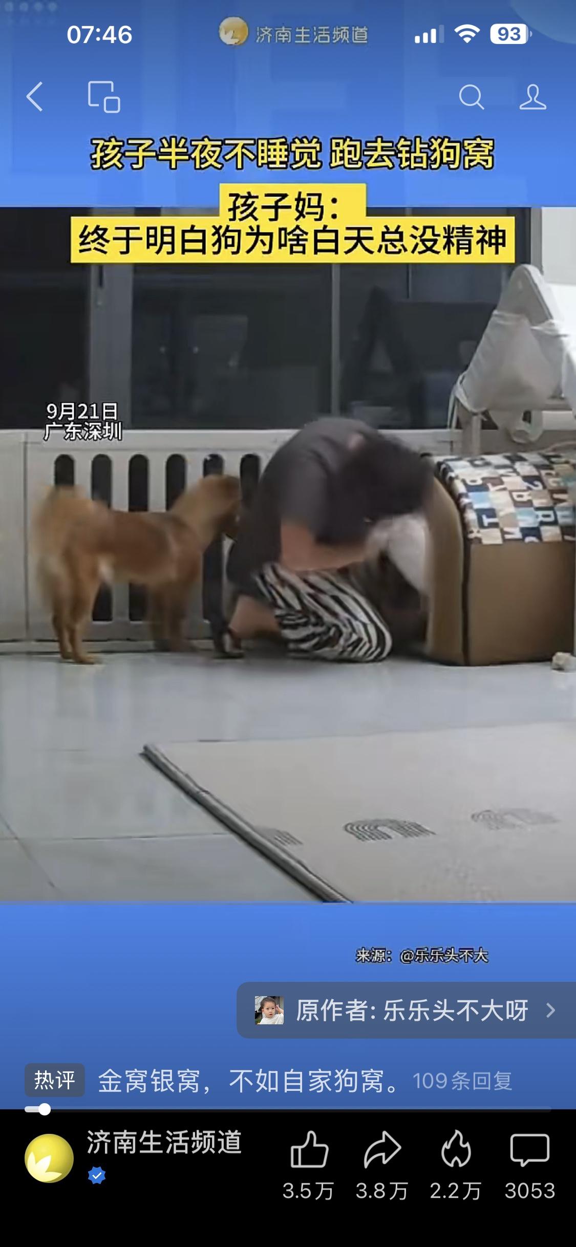 9月21日（采访），广东深圳。孩子半夜不睡觉，跑去钻狗窝。
以前以为“犬子”是对