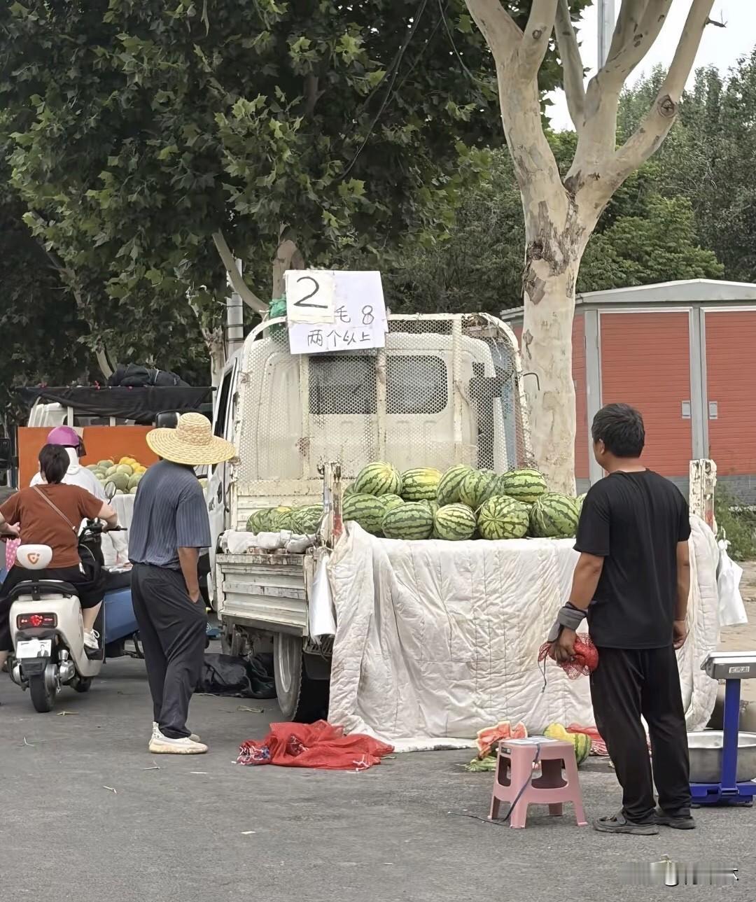 如何看待河南西瓜滞销现象河南西瓜滞销不是果子品质不行，而是前两年行情好农户盲目扩