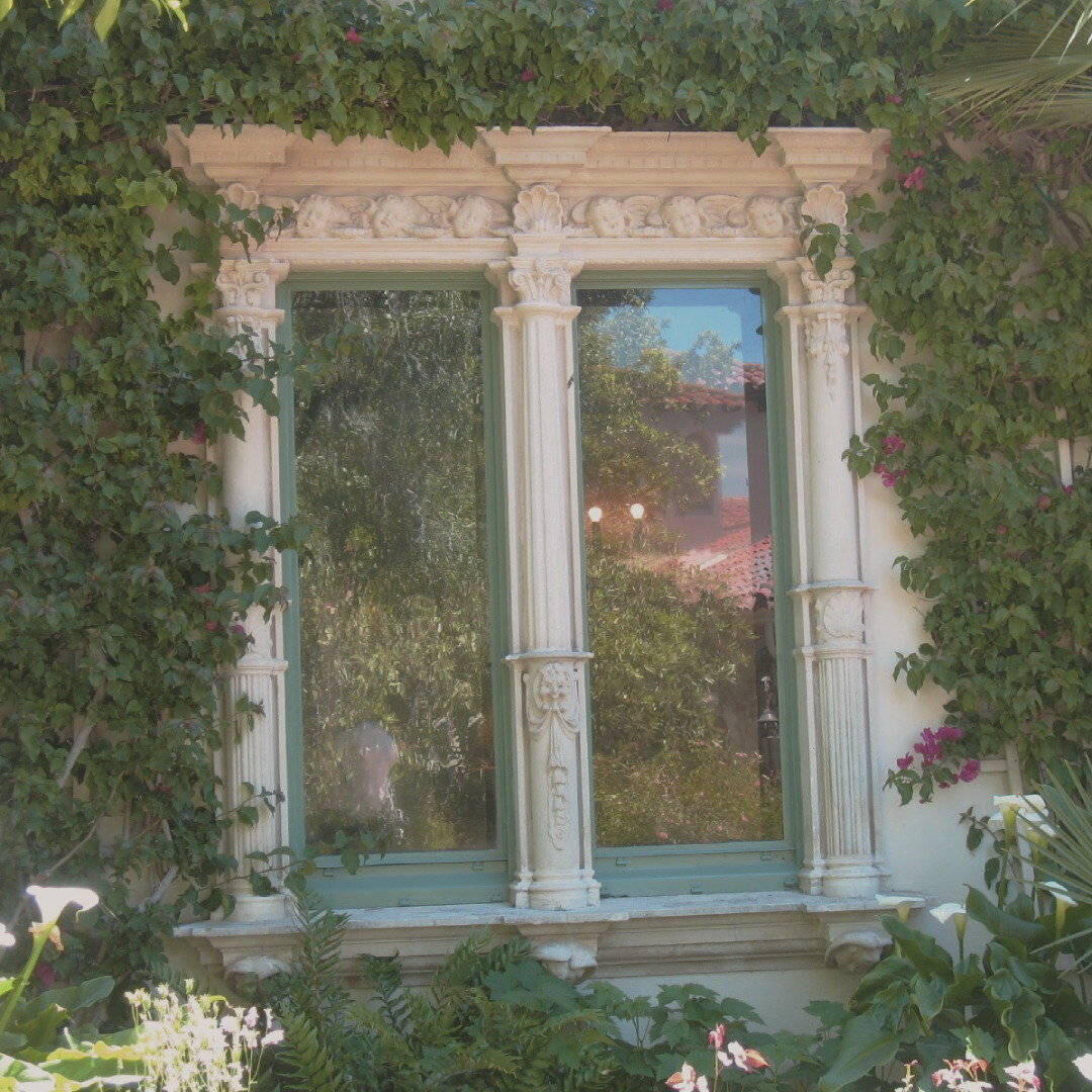 背景图分享｜森系☆₊⁺☕️密林的深处₊⁺◟꒰ 🌸🍃 ꒱˚ ༘♡ 