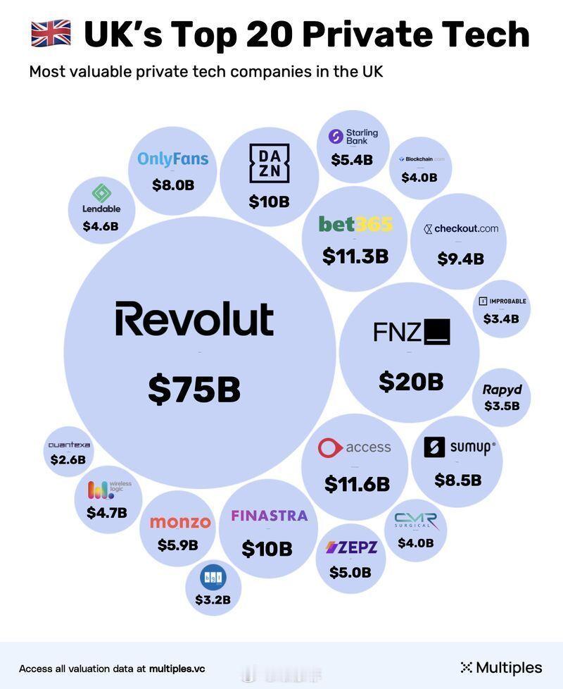 英国最有价值的20家私营科技公司Revolut 是英国最大的私营科技公司，而且遥