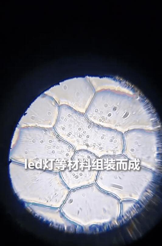 “终于上人民日报了！”贵州一名中学生放暑假待在家里，除了写作业之外，没想到他脑洞