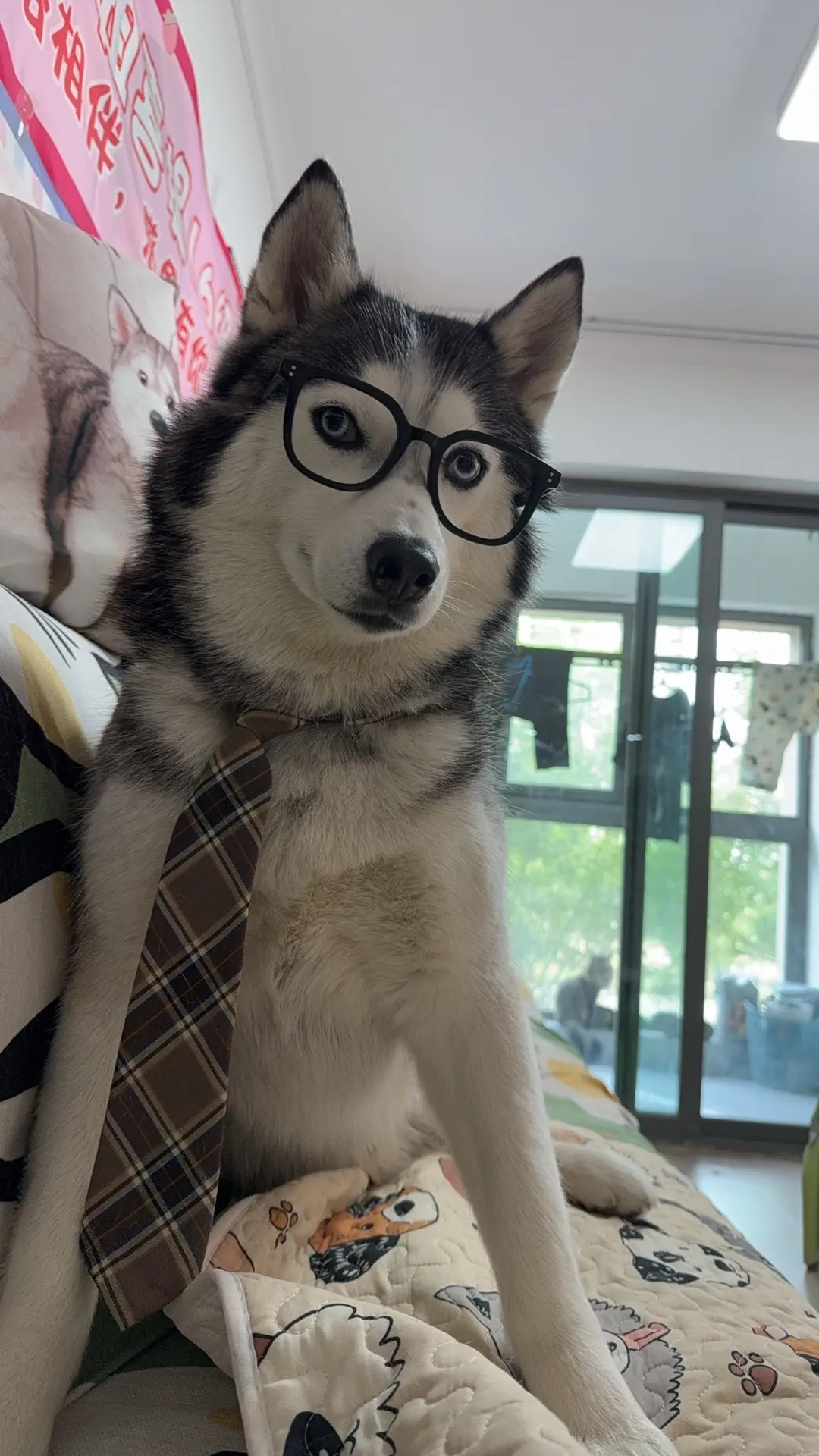 反差吗，有点意思