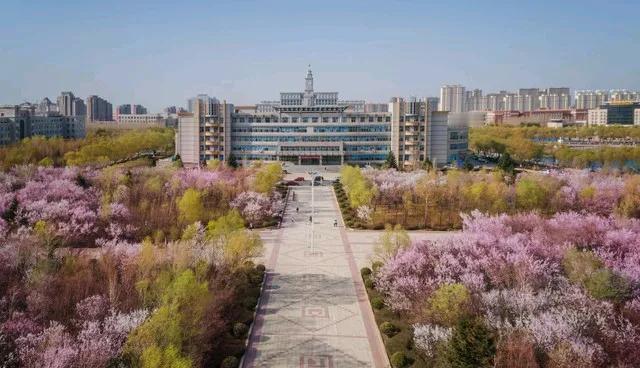 宁夏十大高校：
 
宁夏大学
北方民族大学
宁夏医科大学
宁夏师范学院
银川科技