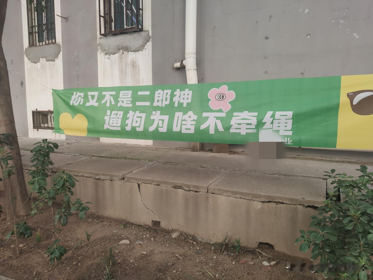 郑州市中原区某小区为提醒遛狗业主出门遛狗牵绳，在小区里一些显著位置，打出了一些内