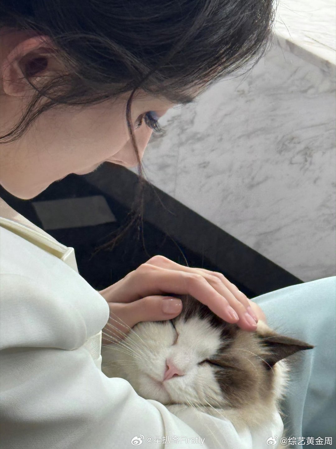 杨幂养的都是流浪猫谁懂啊真的好戳人，杨幂养的三只全是流浪猫，三生三世的树杈、扶摇