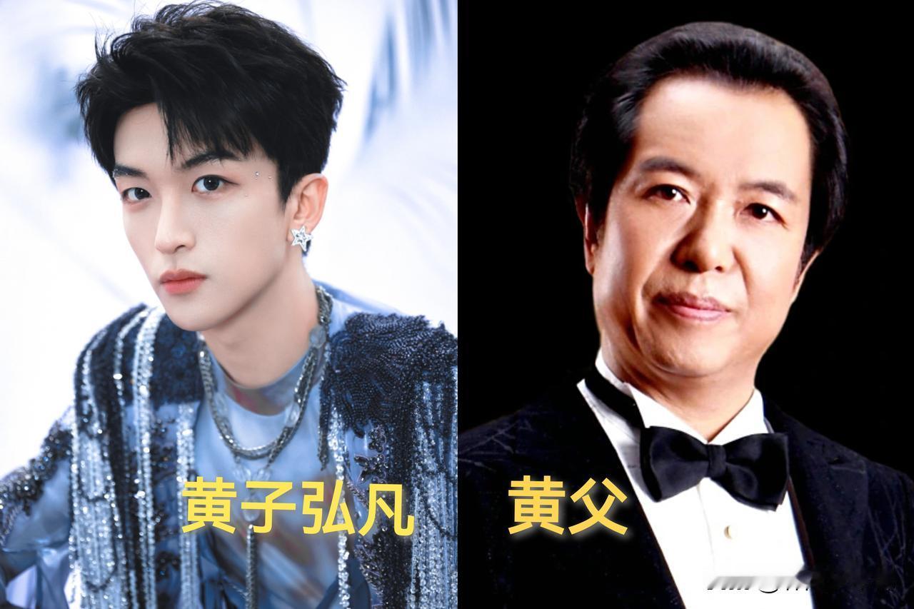 黄子弘凡已经给出回应了，没在怕的！真没想到新年的瓜吃到了黄子弘凡头上！说是黄子弘