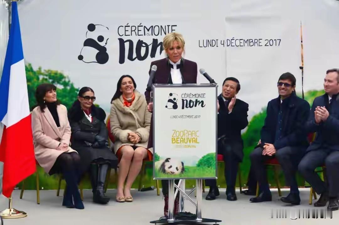 马克龙追到成都“讨”熊猫，法国人算的到底是哪本账？

法国那两只“国民偶像”熊猫