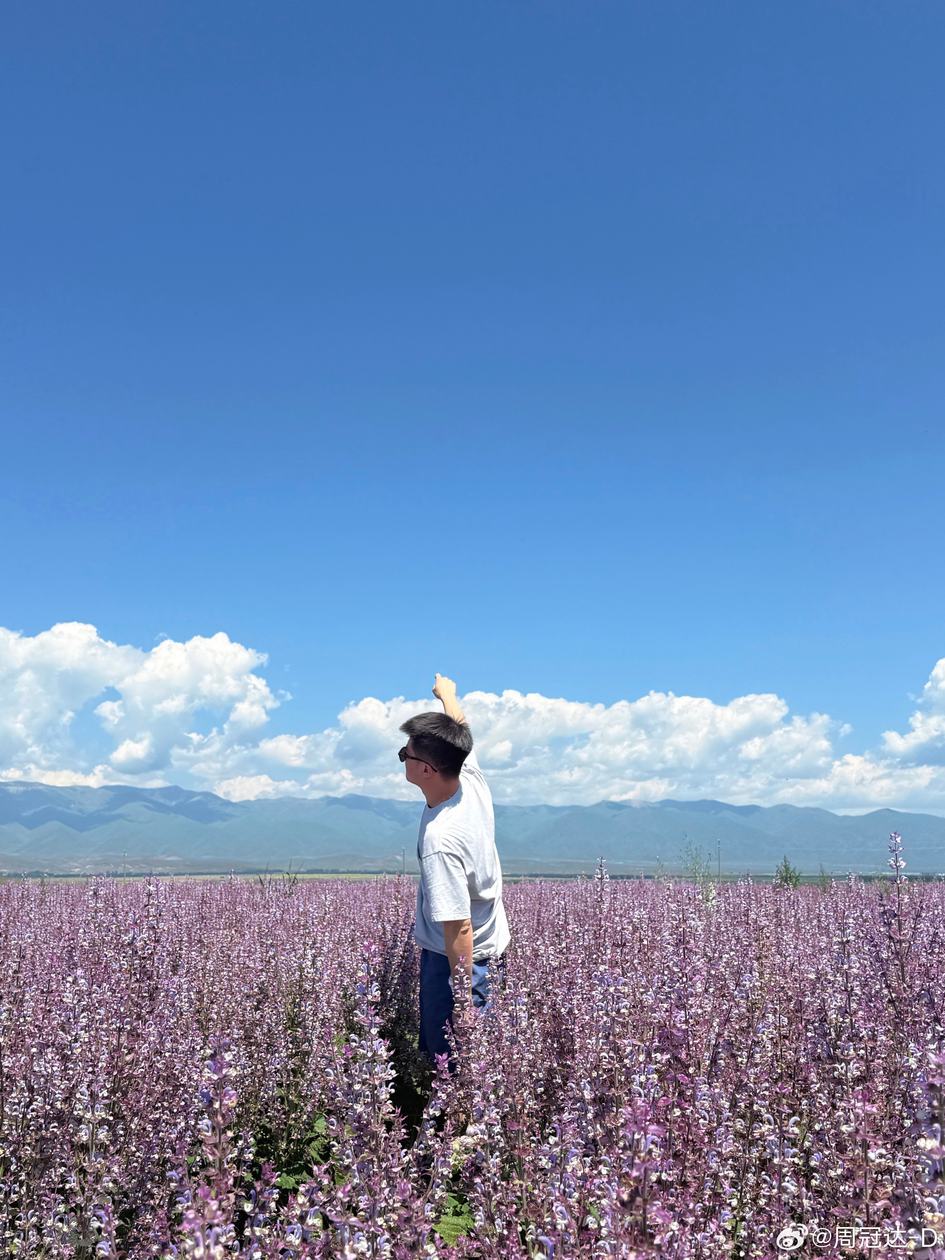 照片拍了、天马节也看了，可以回家了我的日常plog昭苏天马节  ​​​