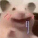 璃桐捧娱乐