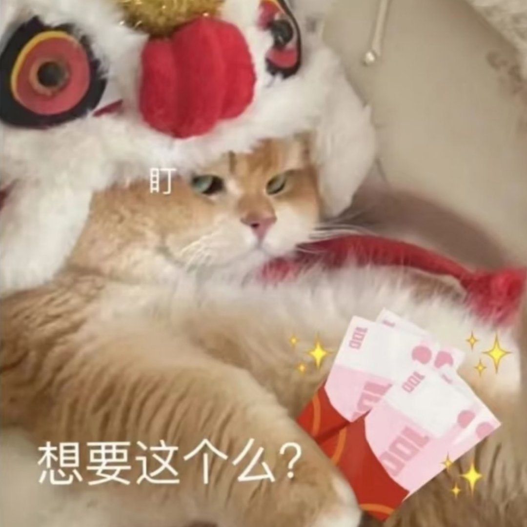 年轻人的过年搭子好抽象  年轻人过年开始囤电子年货了  是谁在疯狂收集红包封面，