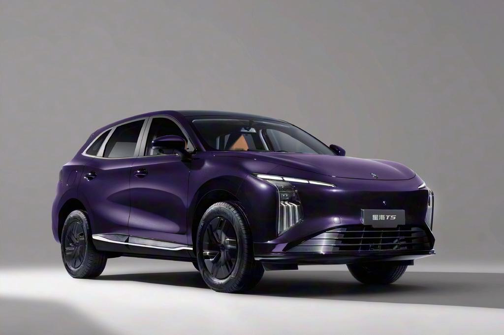 【续航530km售15.39万起，东风星海T5正式上市】2月28日，东风风行旗下