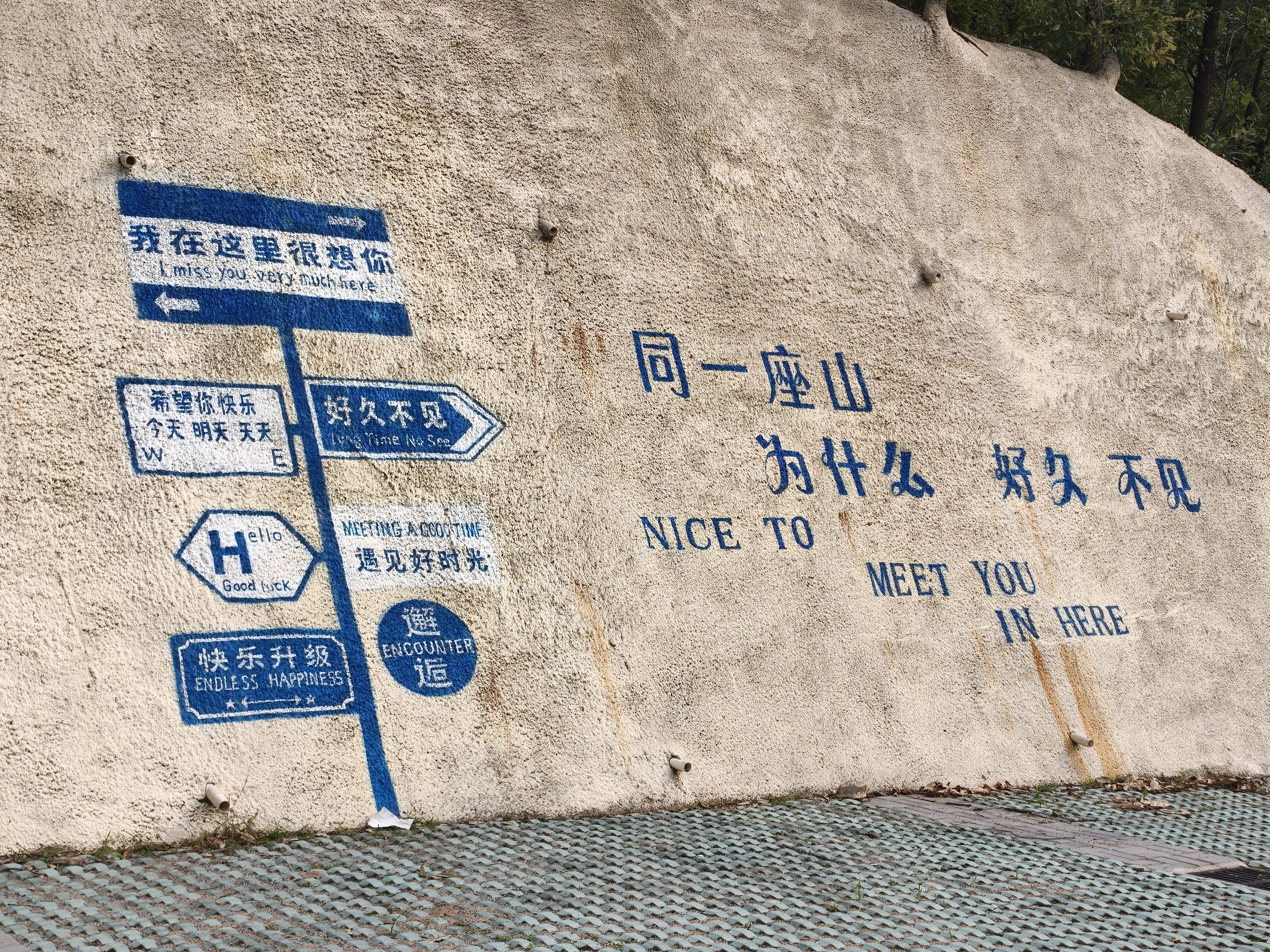 同一座山，为什么，好久不见... 