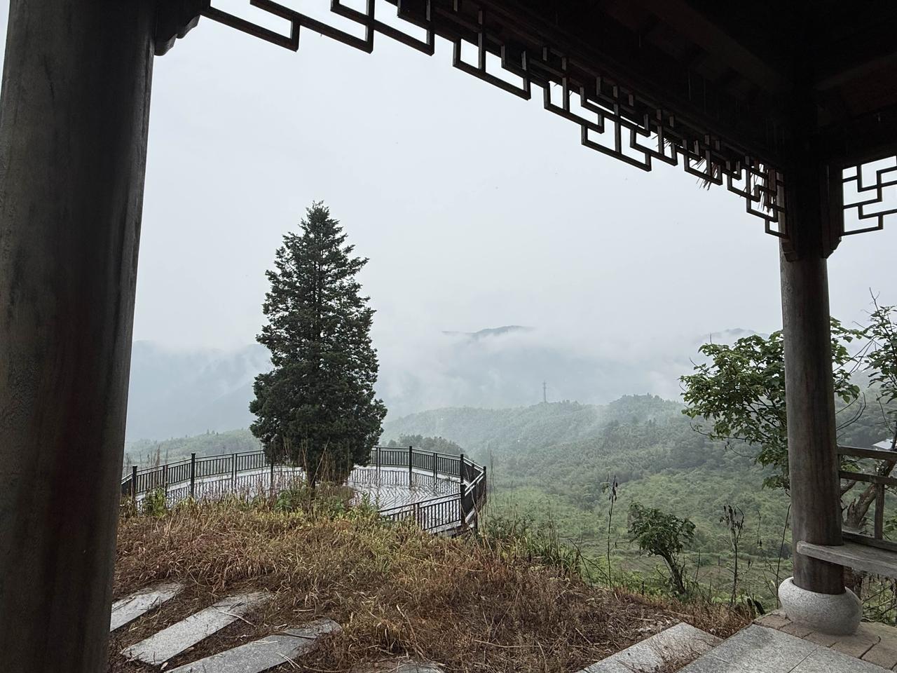 没有蚊子不用空调的避暑胜地～海拔八百多米高的杭州临安大山村林家塘