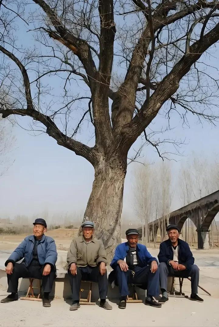 光阴似箭急匆匆，
年年岁岁不相同，
昨日小哥今已老，
……请友续句……？

上联