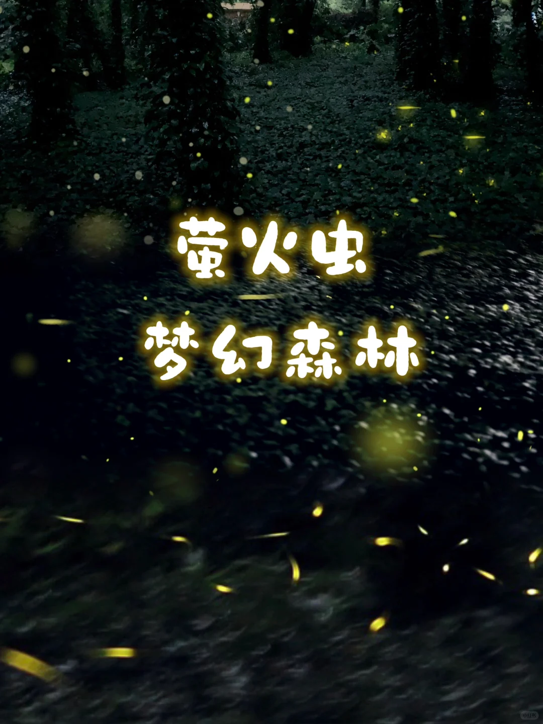 好梦幻‼️广州萤火虫之森又来了✨附拍摄攻略
