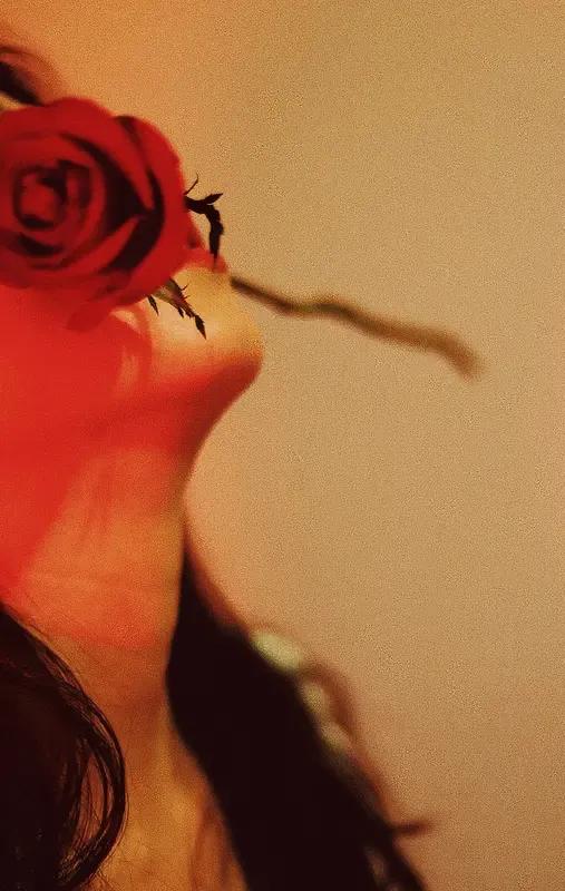 因为同性无法玩暧昧！

暧昧是距离刚刚好，够心动，不够拥抱。

暧昧的前一阶段是