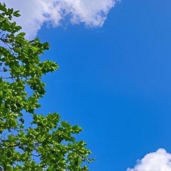 阳光信用阳光信用 生活总有阴晴冷暖，心态便是最好的风向标。不抱怨世事难处，不辜负