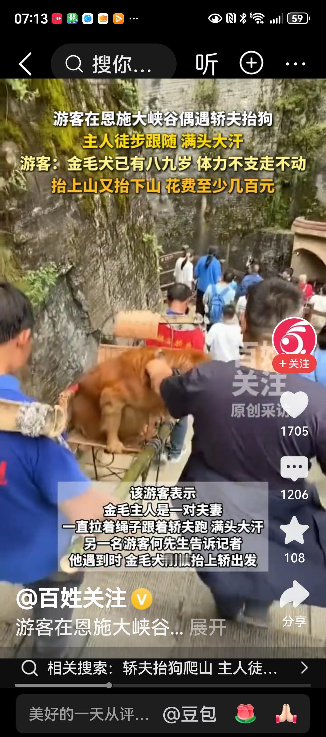 宠物狗被宠爱到了什么程度？网上看到“五一”有一对夫妻带金毛犬游玩，狗走不动了，狗