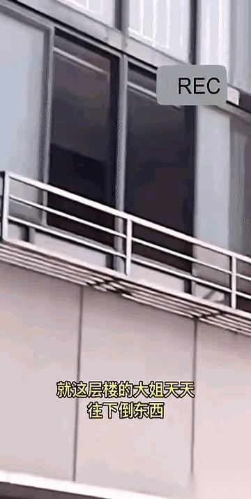 我家对面楼，那扇窗户又开了一条缝。
一颗头，小心翼翼地探出来。先看左边，再看右边