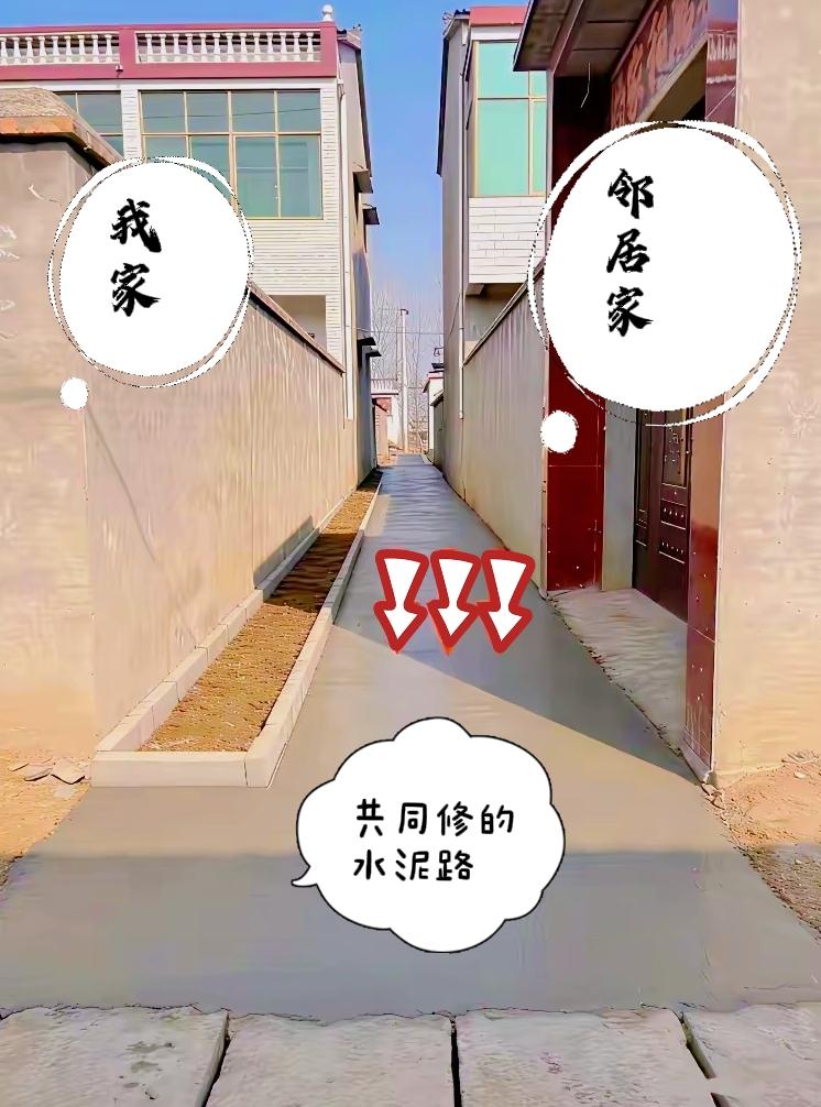 两家一起出钱修好巷道，我只是靠着自家墙体的墙根空地种了点小菜，压根没有往公共过道