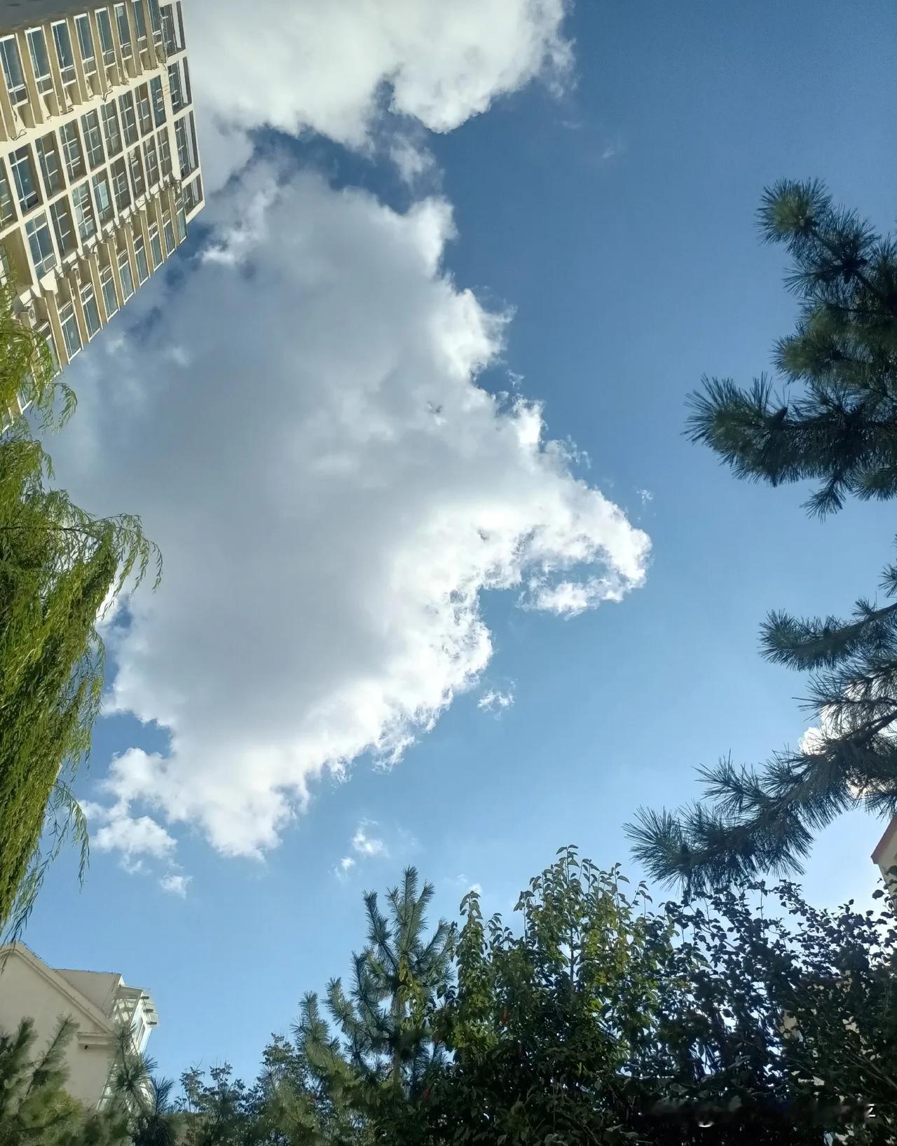 秋高气爽，蓝天白云，硕果累累，才是秋天的标配！