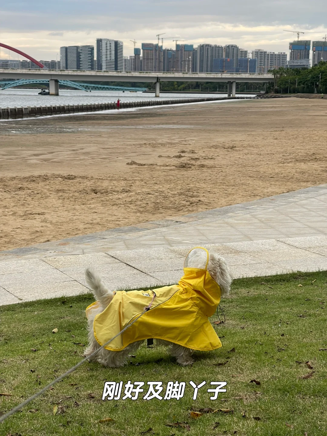 下雨天也可以带我出去玩吗