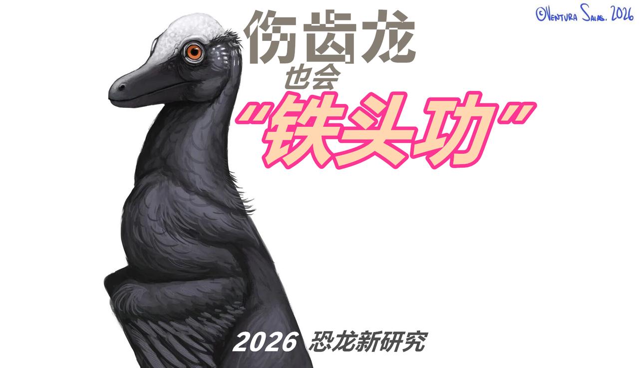 2026新恐龙：伤齿龙竟然秘修“铁头功”！
科普恐龙
      奇猎龙的属名“