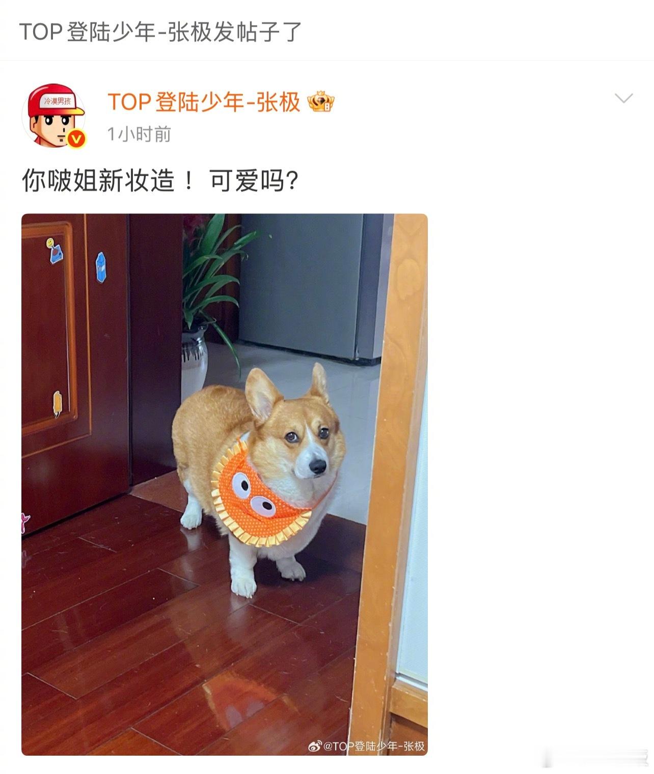 张极被略略略略略洗脑了张极又在拍啵啵的丑图 张极空降超话备忘录碎碎念更新！这两天