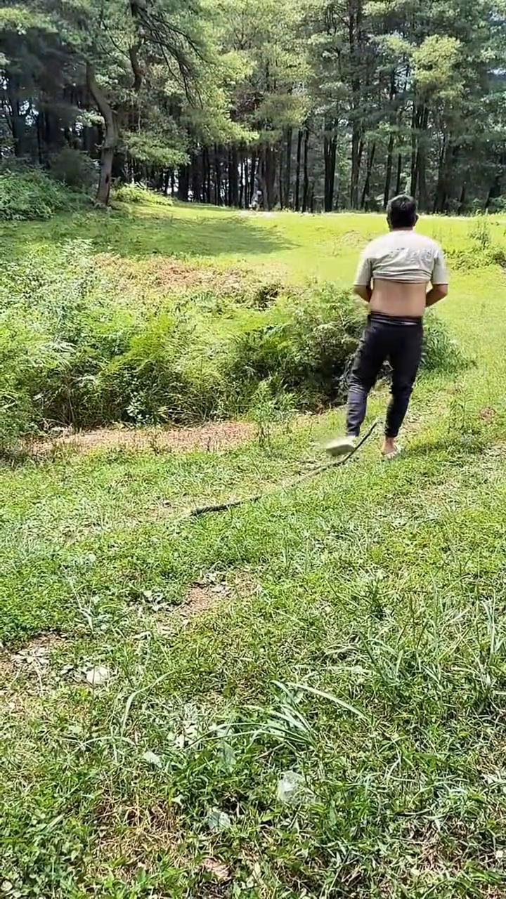哎呦我靠，哎呦我的妈。