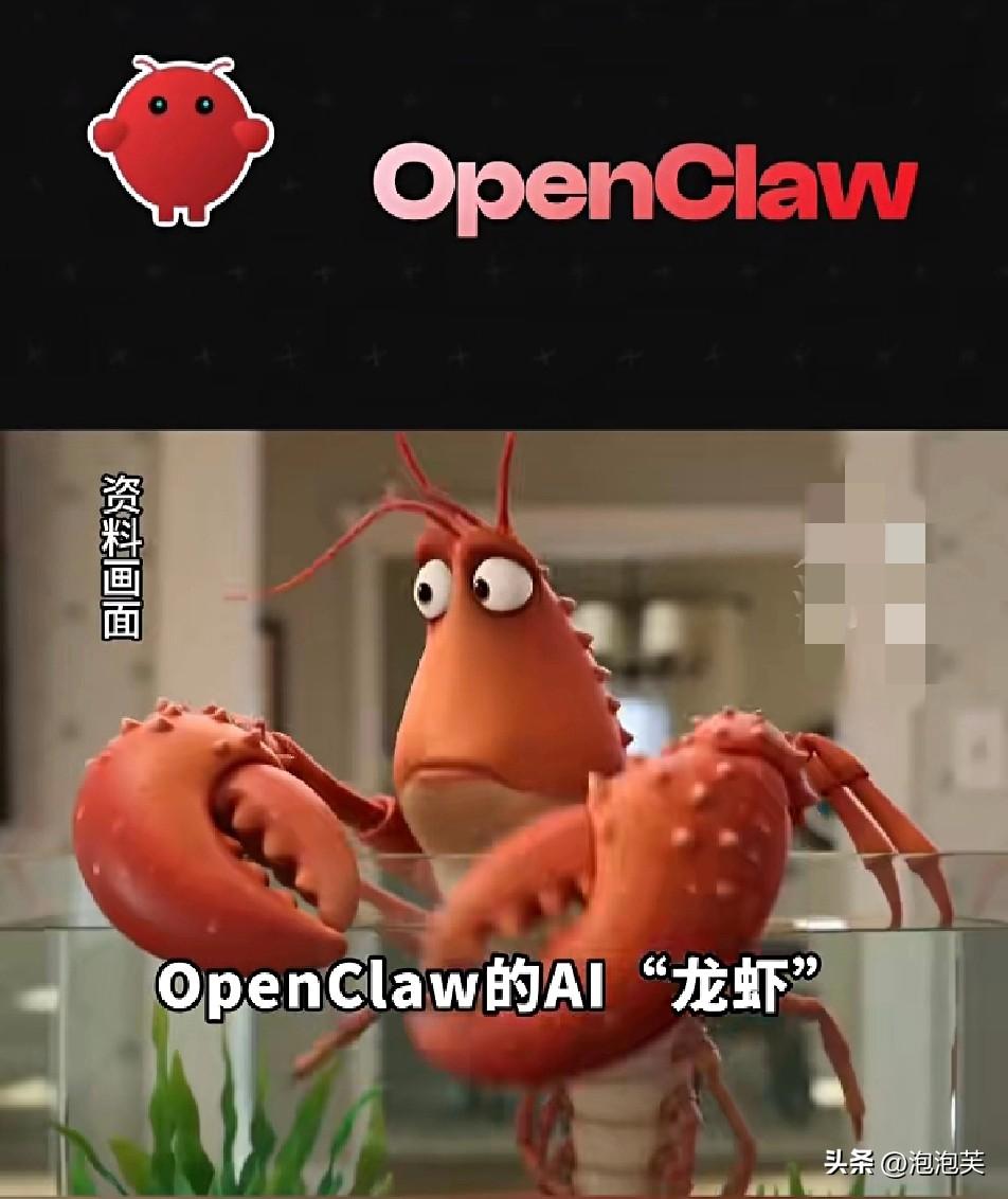 曾被全网热炒的OpenClaw“龙虾AI”

如今画风突变

有人专门做起199
