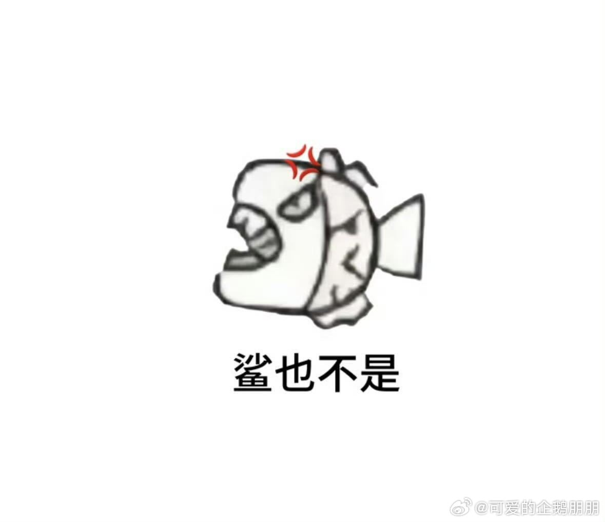 大家今天都好棒！！！抽一盒脆脆鲨！！！要求今天买歌15首，或者有一单棉花朋！！！