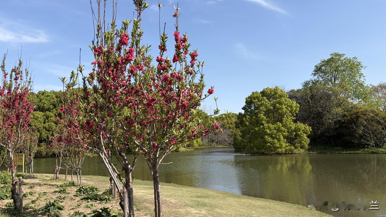 不知道是自己的抵抗力下降了，还是现在的感冒与以前的不同了，我近几年的几次感冒，都